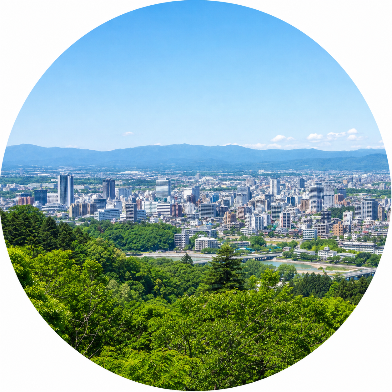 青葉山の緑越しに望む仙台の街並み